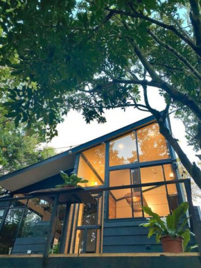 My Amazing Monteverde Black House